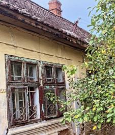 Naledi Repaja 10.jpg