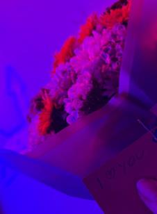 2025-04-23 07_07_14-𝓚𝓲𝓳𝓪 𝓚𝓸𝓬𝓴𝓪𝓻 (@kijakockar) • Фотографије и видео записи на услузи Insta.jpg