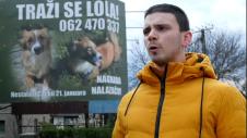 1745477996_cacak-lola-se-nije-vratio-kuci-fototorina.jpg