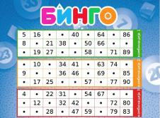bingo 2.jpg