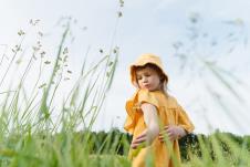 krpelji shutterstock_2465609927.jpg