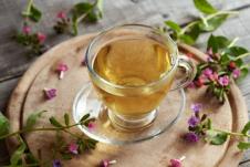 caj plucnjak shutterstock_2319318391.jpg