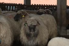 Screenshot 2025-04-27 202330.png