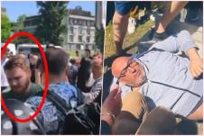 collage.jpg