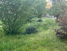 WhatsApp Image 2025-04-30 at 2.56.35 PM (1).jpeg