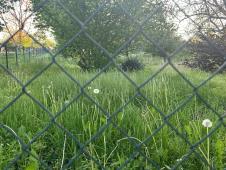 WhatsApp Image 2025-04-30 at 2.56.56 PM (1).jpeg