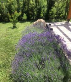 Screenshot 2025-05-01 180710.png