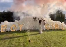 Screenshot 2025-05-01 224443.png