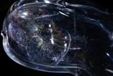 IMG_1956 foto Ivan Zupanc.jpg