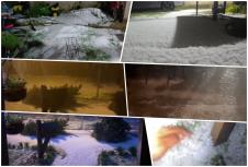 collage.jpg