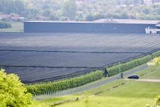 1803 marko karovic (4).jpg