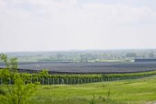 1803 marko karovic (5).jpg