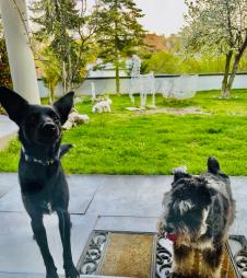 Screenshot 2025-05-10 102752.png