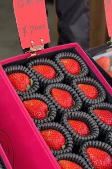 2025-05-13 13_26_03-(1)Janko (@stefan_jankovic) Official _ TikTok.jpg