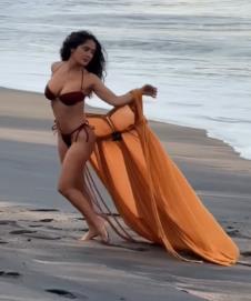 Salma Hajek, bikini fotografije.jpg