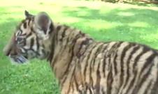 Screenshot 2025-05-15 210534.png