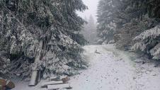 1747377634prijepolje-sneg-maj-kamena-gora-fotorina.jpeg
