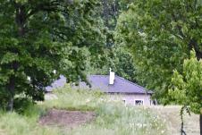 1603 marko karovic (5).jpeg