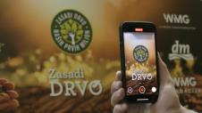 Zasadi drvo