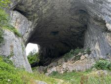 1747412599_1692708528_cajetina-prerast-dobroselica-cudo-fotorina1.jpg