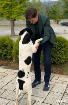 Screenshot 2025-05-17 092631.png