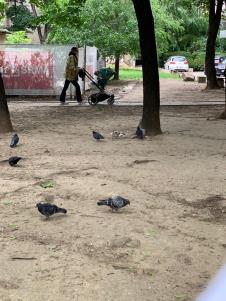 WhatsApp Image 2025-05-19 at 16.51.19_7df8b5f2.jpg