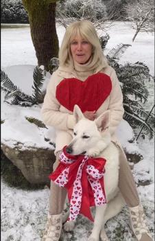 Screenshot 2025-05-20 152051.png