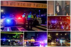 collage1.jpg