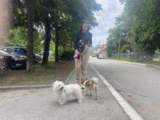 IMG_0592.jpeg