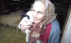 Džemila Beganović 6.png