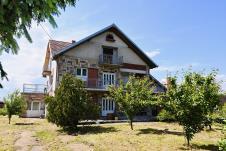 2650  Novica negovanovic  foto Marko KArovic (7).jpeg