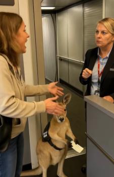 Screenshot 2025-05-28 195525.png