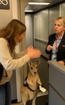 Screenshot 2025-05-28 195513.png