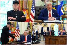 collage.jpg