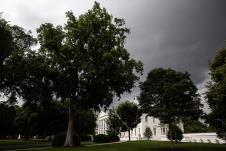 vsna EPA Francis Chung  Pool.jpg