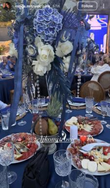 Željko Mitrović dom