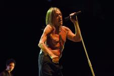 Igi Pop profimedia-1004466367.jpg