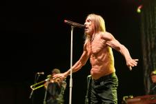 Igi Pop profimedia-1005820423.jpg