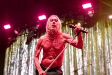 Igi Pop profimedia-1005836348.jpg