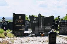 Dobrivoje Topalovic, Preljina (15).jpeg