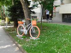 LOZNICA - Bicikl.jpg