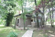 bata zivojinovic koracica.jpg