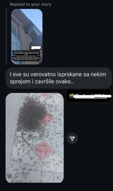 pčele 1 (2).jpg