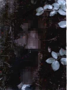 Ljubomir Lainovic 2.jpg