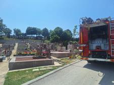 1749293188_cacak-pozar-tuje-groblje-fotorina2.jpg