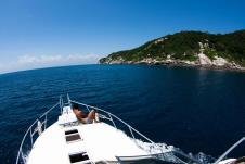 Zmijsko ostrvo u Brazilu