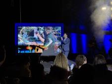 Mirza Selimović koncert na Niškoj tvrđavi