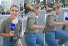 collage.jpg