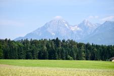 1606marko karovic (7).jpg