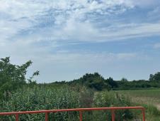 WhatsApp Image 2025-06-16 at 12.14.44_299ba84b.jpg